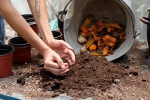 Compost Calculator