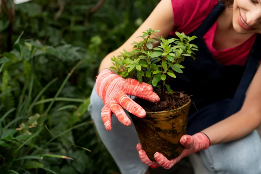 Grow a Garden Calculator