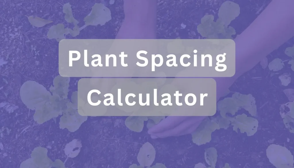 Plant Spacing Calculator